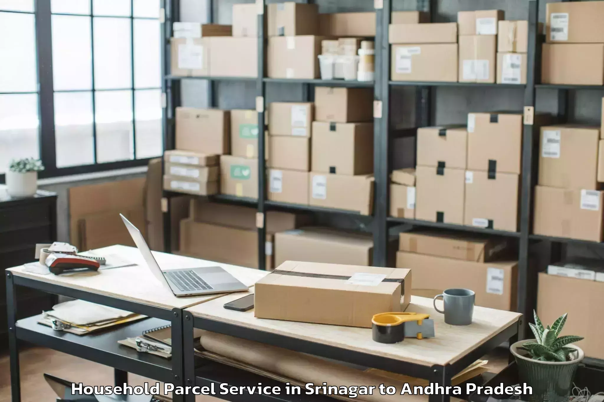 Reliable Srinagar to Nandyal Household Parcel